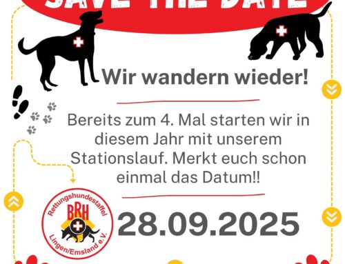 Wir wandern wieder! Stationslauf 2025